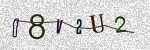 Letters and numbers